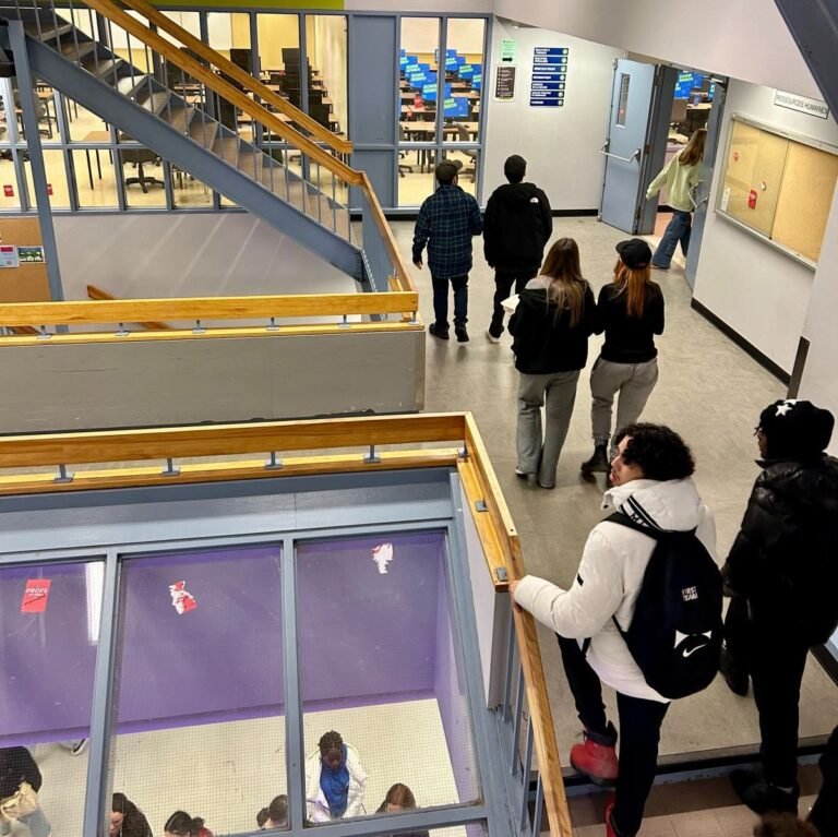 Sustained Fall Collège Montmorency to expand capacity for fall 2026 amid rising demand ...